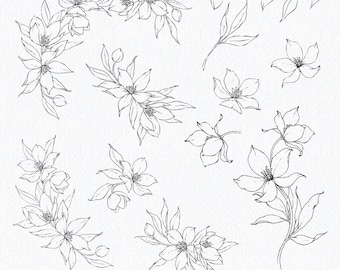 Hellebore - Hand Drawn Graphic Images - Fine art wedding flowers - hellebore flower illustrations - floral wreath graphic illustrations