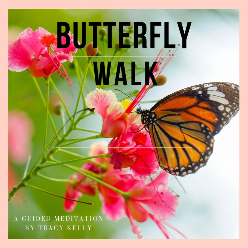 Meditation Gifts Meditation Butterfly Meditation Meditation Music Guided Meditation Instant Download Mp3 Download