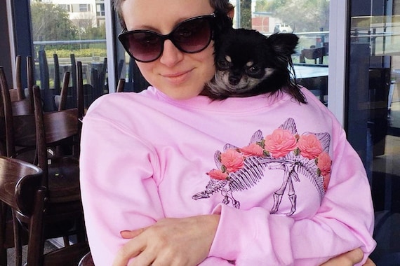 Pink dinosaur clearance jumper