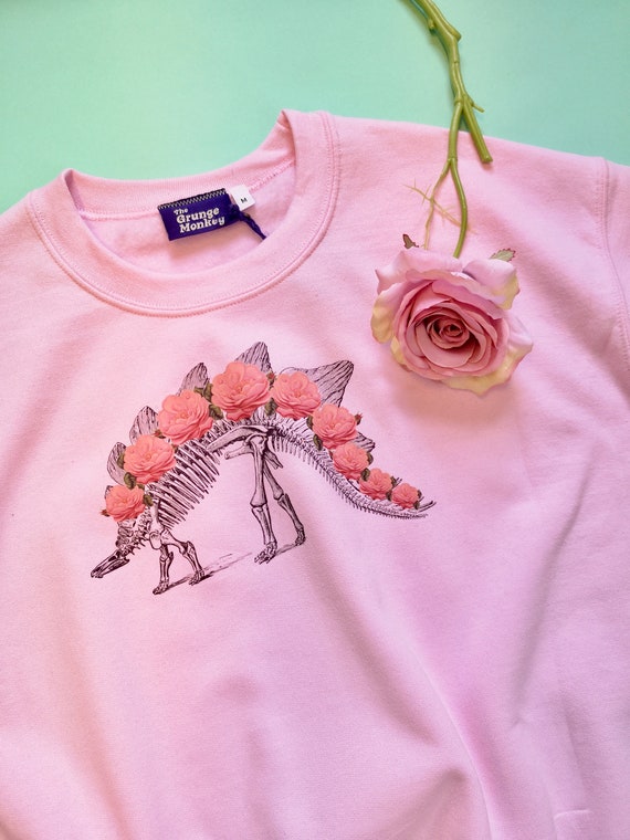 dinosaur jumper baby