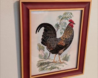 Framed Rooster Picture