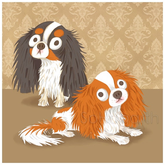 tri color king charles spaniel