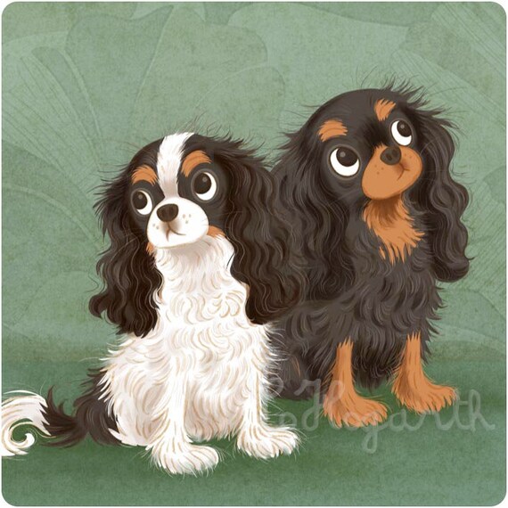 Black tan cheap cavalier