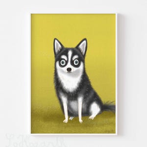 May include: A black and white dog with blue eyes sits on a yellow background. The dog is looking directly at the viewer.