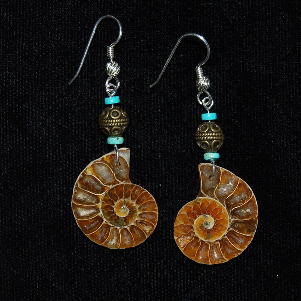 Dark Amber Colored Ammonite Earrings