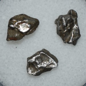 Three Mini Campo Del Cielo Meteorites in a Gem Jar - Space Rock