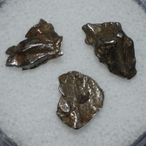 Three Mini Campo Del Cielo Meteorites in a Gem Jar - Space Rock
