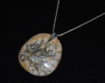 Beautiful Polished Fossilized California Sand Dollar Pendant on a Sterling Silver Chain