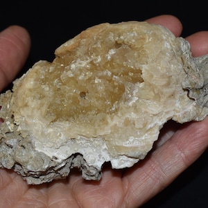 May include: A light-colored, irregularly shaped mineral specimen with a rough, textured surface. The mineral has a mix of beige, tan, and off-white hues, with crystalline structures visible in some areas. The specimen is held in a hand.