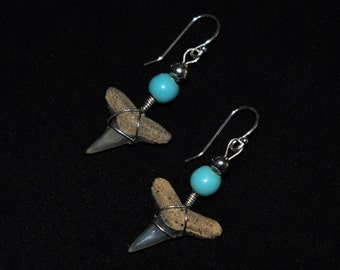 Fossilized Lemon Shark Earrings with Sterling Silver Ear Wire