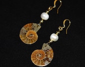 Artikel aus diesem Shop