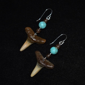 Fossilized Lemon Shark Earrings with Sterling Silver Ear Wire