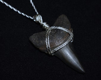 Wire Wrapped Fossilized Giant Mako Shark Tooth Pendant on Adjustable Sterling Silver Chain