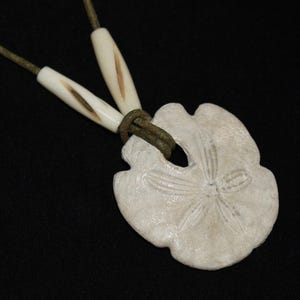 Beautiful Fossilized Sand Dollar Pendant on a Green Leather Cord with Accent Beads