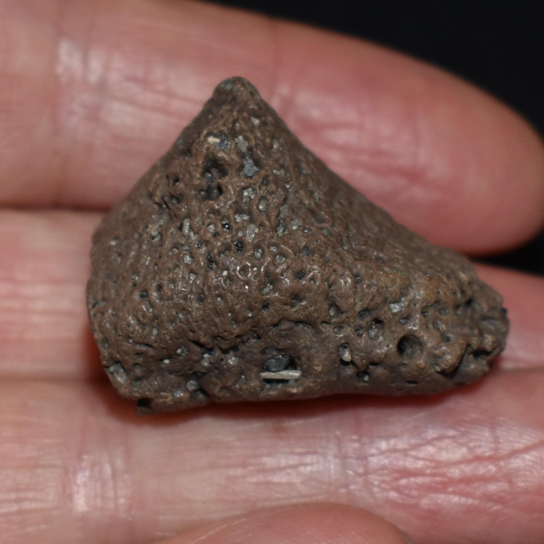 メ*4様 化石　F-8 ArtifactsandFossils - Etsy