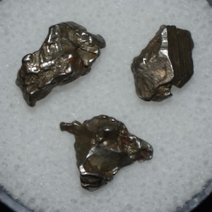Three Mini Campo Del Cielo Meteorites in a Gem Jar - Space Rock