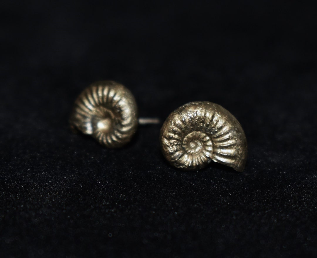 Carved Stone Ammonite Earrings main image 0