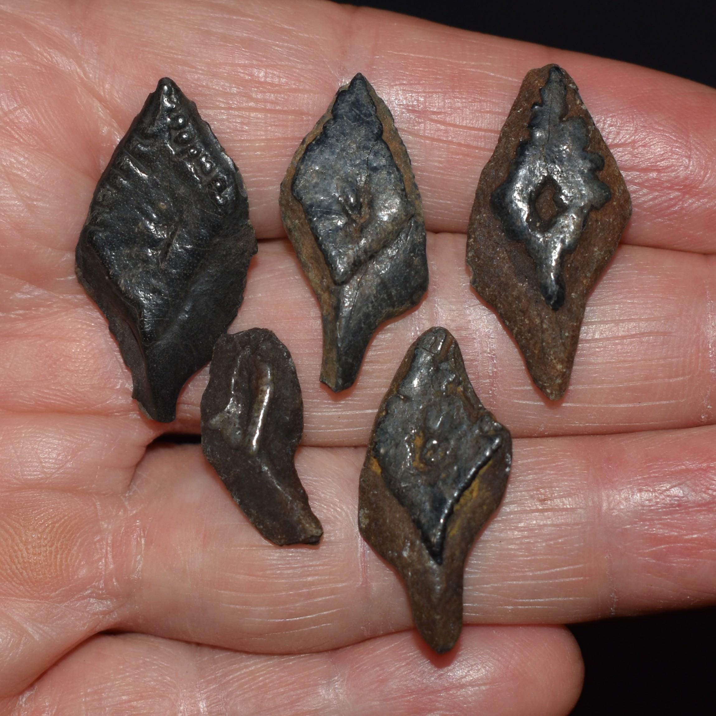 ArtifactsandFossils - Etsy