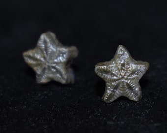 Beautiful Unique Small Crinoid Star Earrings with Sterling Silver Post