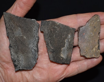 Tre grovskurna dinosauriebenskivor - Juraperioden 145-199 miljoner år sedan