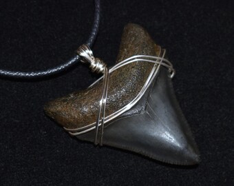 Wire Wrapped 1 1/2" Fossilized Megalodon Shark Tooth on Black Cord