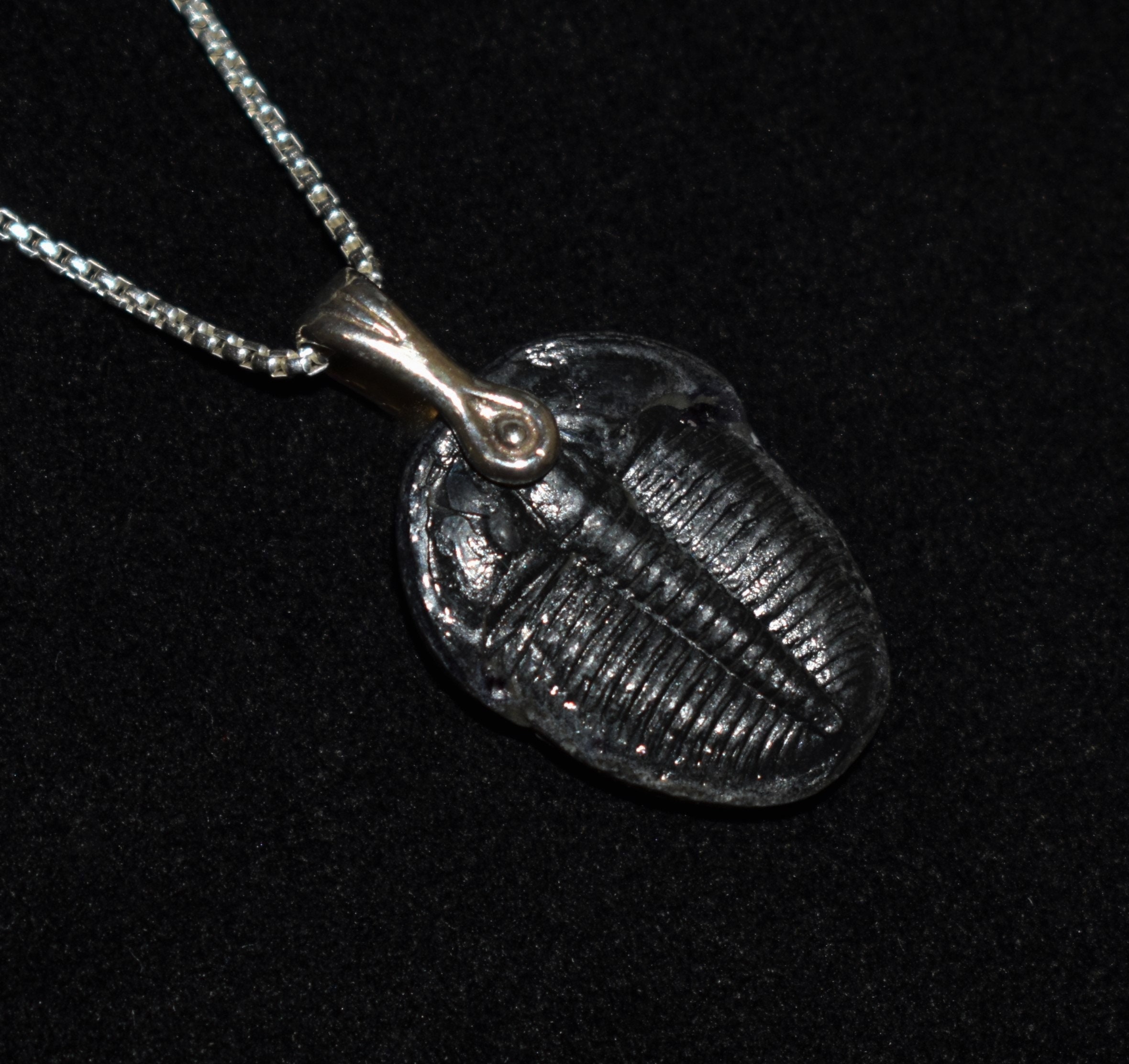 trilobite necklace