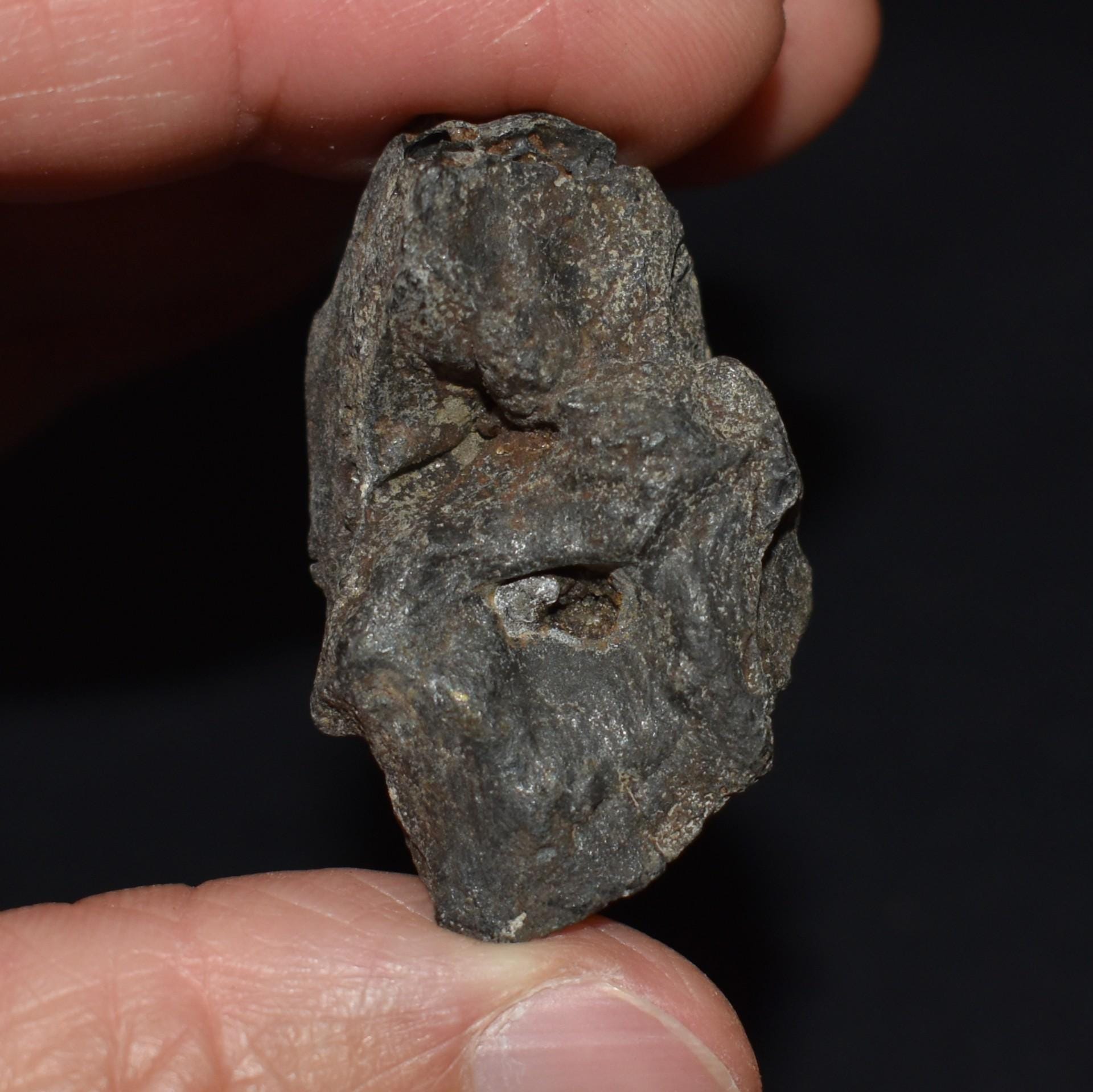 ArtifactsandFossils - Etsy