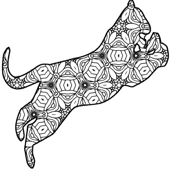 tiger adult coloring page printable pdf ebook