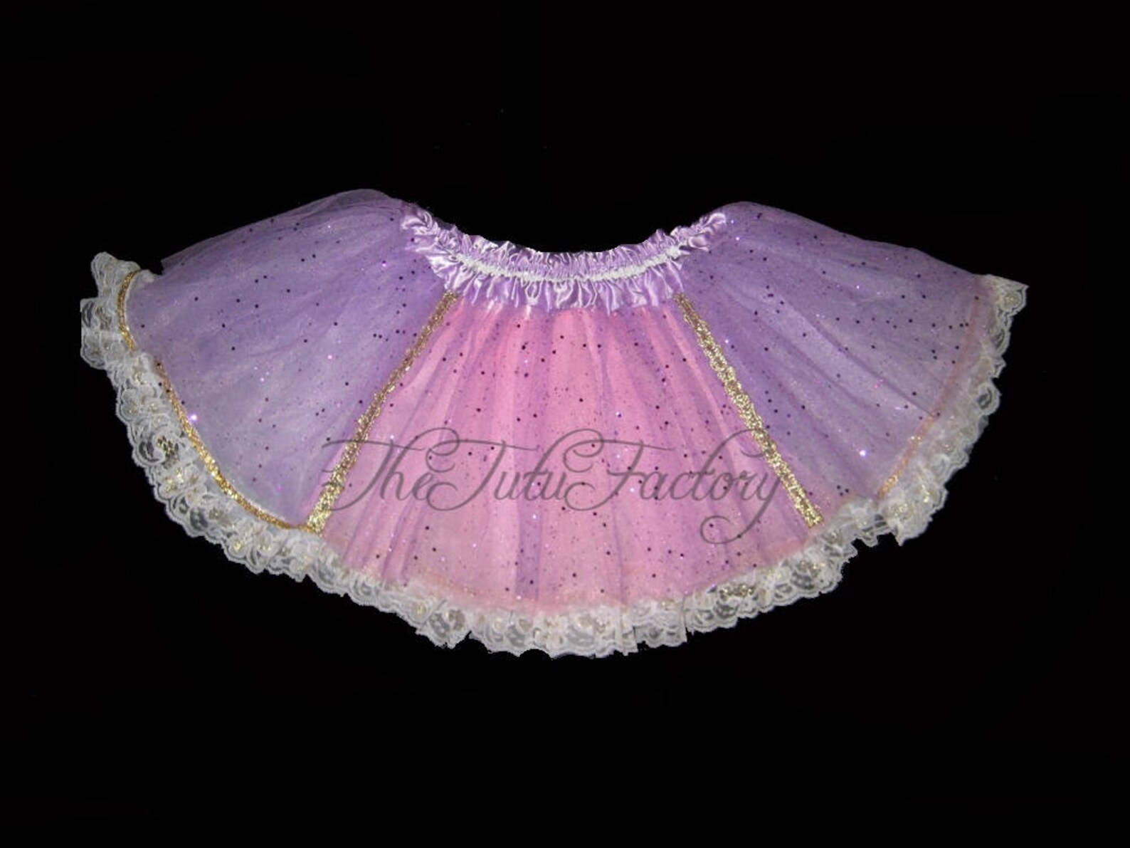 Plus Size Lost Slipper Princess Costume main image 1