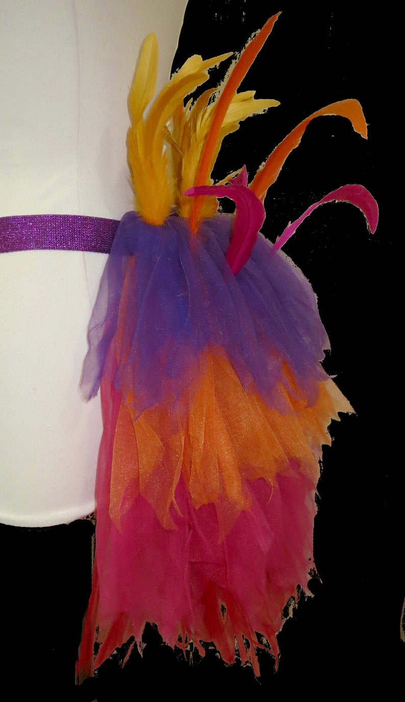 KEVIN Tutu . Up to Adult Plus Sizes . Bird . Running Costume . Tail/Belt . Short Length up to 11in image 4