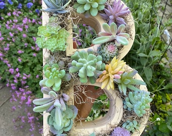 Wood Letter Planter Etsy