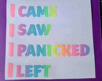 ADESIVO DE VINIL - Eu vim, vi, entrei em pânico, deixei o adesivo de vinil para laptops, janelas de carro, copos, garrafas de água, copos, etc. Frete grátis nos EUA