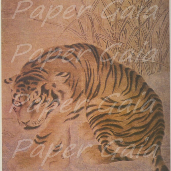 Vintage Illustration Chinese Tiger from Hanging Paper Scroll 13th Century Asia Book Page