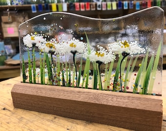 Mounted in Wooden block - Daisies - Alice Range