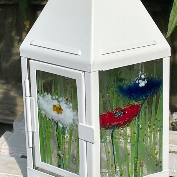 Glass Lantern Meadow Mix - Alice Range