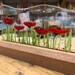 Mounted in Wooden block - Poppies - Alice Range 