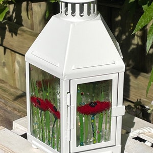 Glass Lantern Poppies - Alice Range