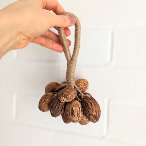 Hanging decorative rope of exotic dried Amla seeds rattle shaker