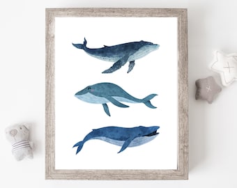 May include: A framed print featuring three watercolor illustrations of blue whales in different poses. The whales are depicted in shades of blue and gray, with white accents. The print is set against a white background.