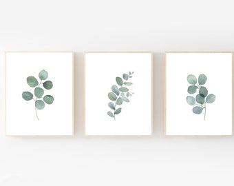 May include: Set of three framed prints featuring watercolor illustrations of eucalyptus leaves in shades of green against a white background.