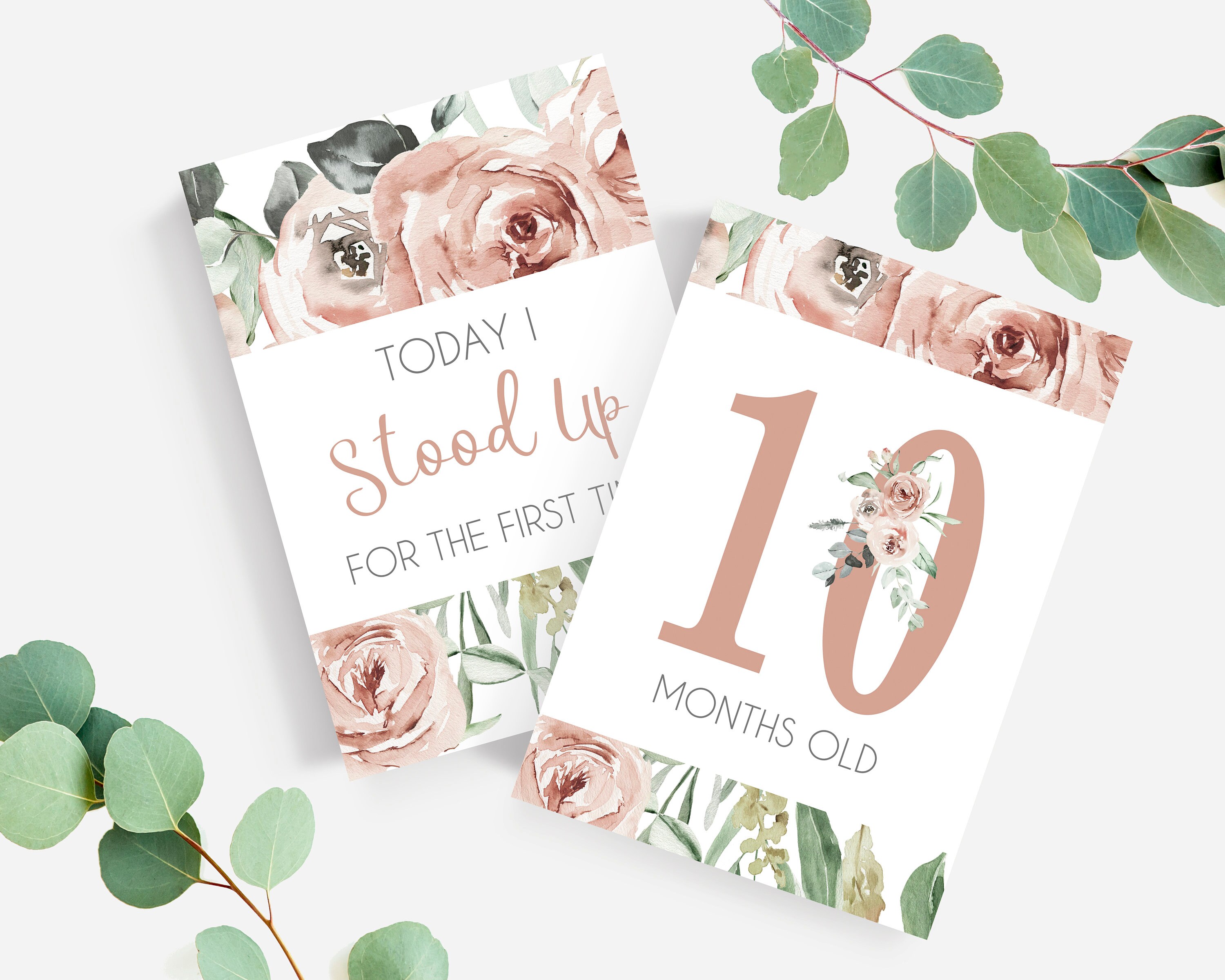 Baby Girl Milestone Cards - Floral Milestone Cards - Printable ...