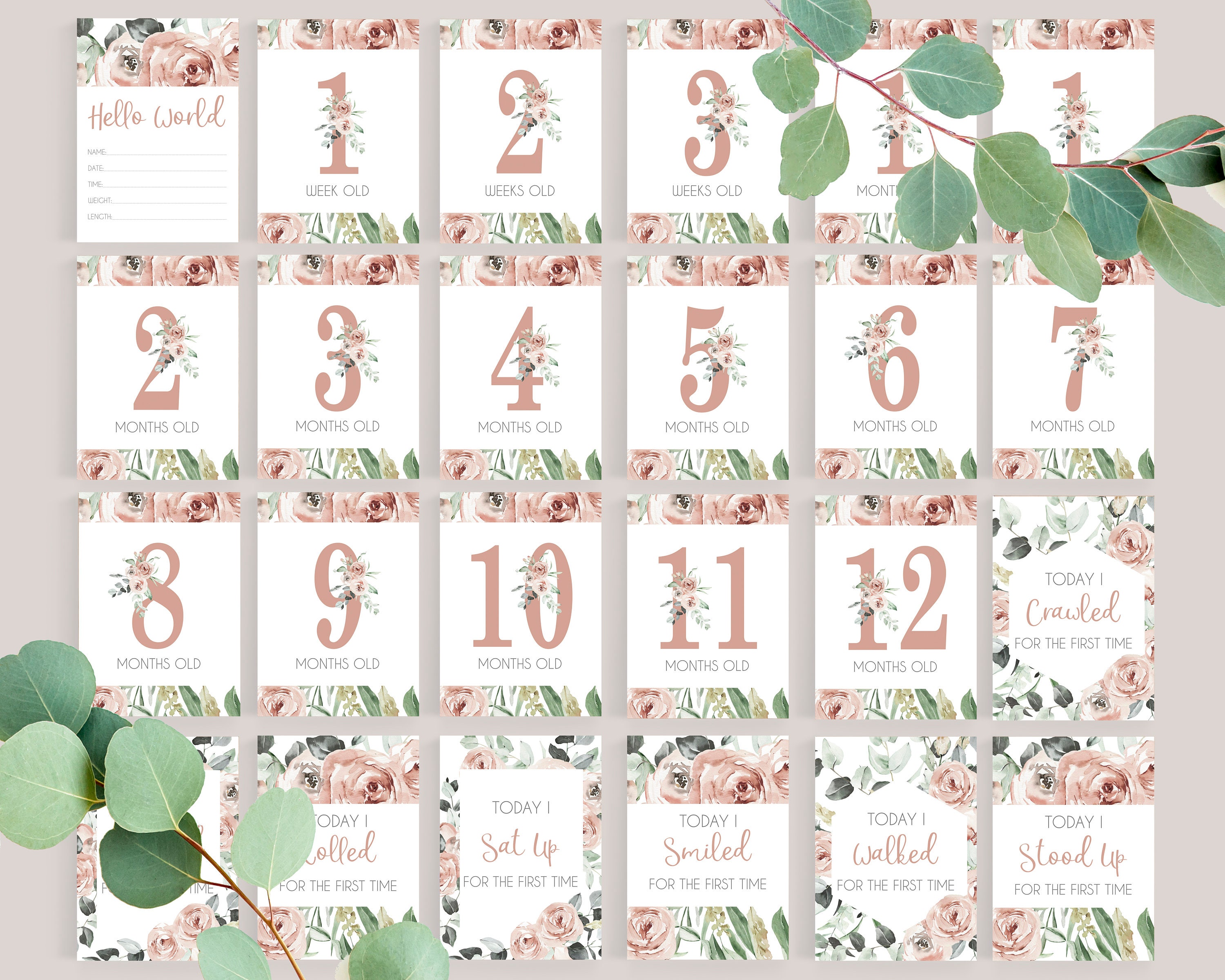 Baby Girl Milestone Cards - Floral Milestone Cards - Printable ...