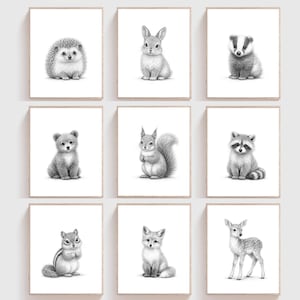 May include: Nine framed art prints featuring pencil drawings of woodland animals. The collection includes a hedgehog, rabbit, badger, bear cub, squirrel, raccoon, chipmunk, fox, and a deer. Each animal is depicted in a realistic, grayscale style.