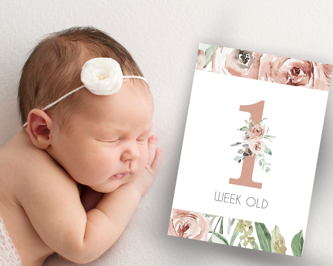 Baby Girl Milestone Cards - Floral Milestone Cards - Printable ...