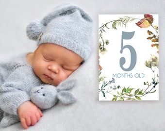 Baby boy milestone cards - Baby milestone cards printable - Milestone cards boy - Monthly cards - Milestone cards digital - Baby shower gift