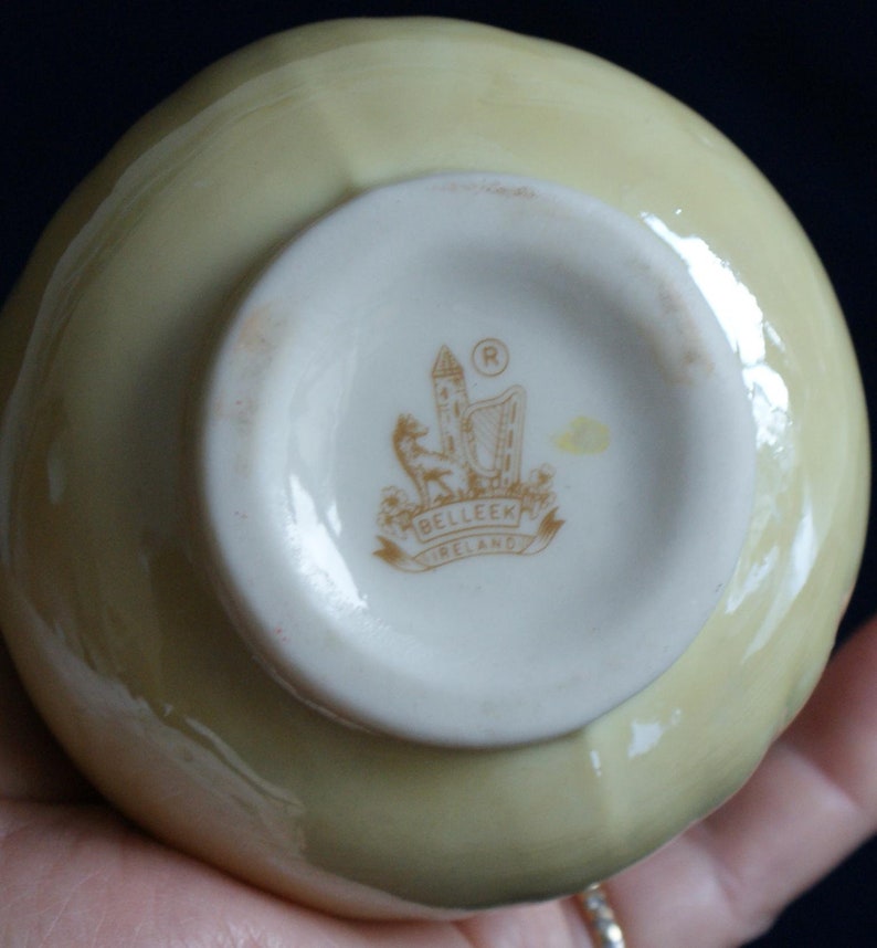 Belleek Lovely Vase Decorated Cob Lustre Tulip Vase Parian Etsy