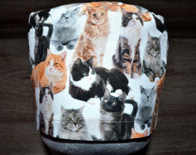 Surgical cap cat with terry cloth band, scrub cap, bandana, scrub hat, chef's cap, cosmetic cap, surgical caps, white with cats, cat cap