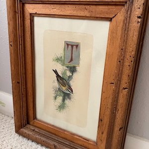 Vintage Letter T Lithograph