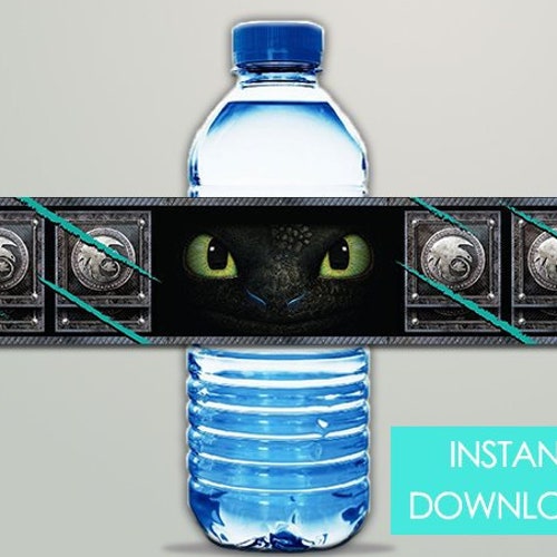 How to Train Your Dragon Bottle Labels INSTANT DOWNLOAD Etsy