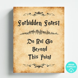 Tema del mago Bosque Prohibido No vaya más allá de este punto Signo Descarga digital Tamaño de la carta 8.5x11 Libro mayor imprimible DIY Descarga instantánea